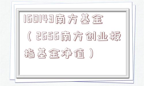 160143南方基金（2656南方创业板指基金净值）