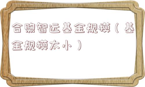 合煦智远基金规模（基金规模太小）