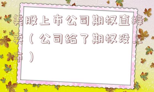 美股上市公司期权直接卖（公司给了期权没上市）