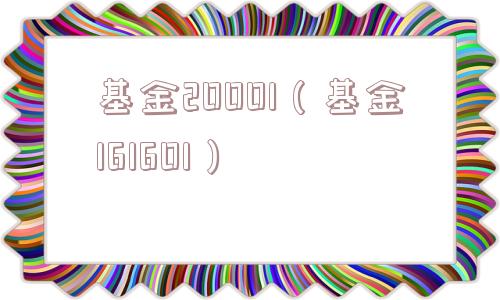 基金20001（基金161601）
