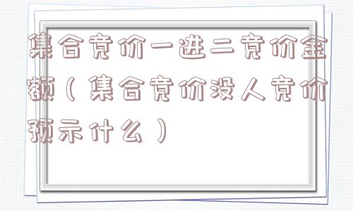 集合竞价一进二竞价金额（集合竞价没人竞价预示什么）