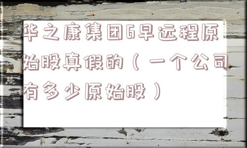 华之康集团6早远程原始股真假的（一个公司有多少原始股）