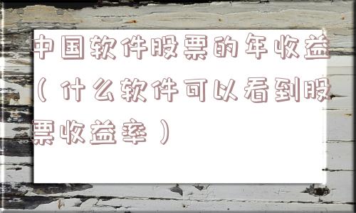 中国软件股票的年收益（什么软件可以看到股票收益率）