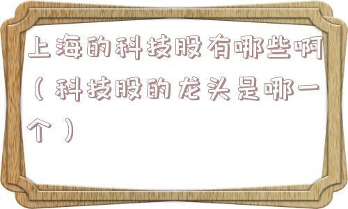 上海的科技股有哪些啊（科技股的龙头是哪一个）