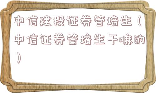 中信建投证券管培生（中信证券管培生干嘛的）