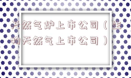 天然气炉上市公司(生物天然气上市公司) 天然气炉上市公司(生物天然气上市公司)