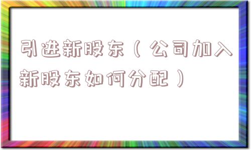 引进新股东（公司加入新股东如何分配）