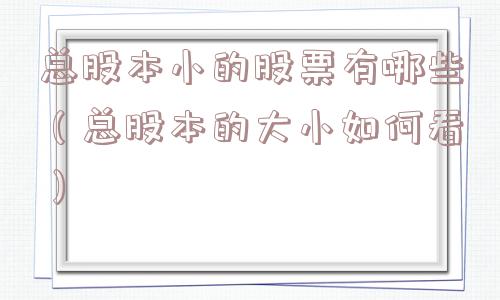 总股本小的股票有哪些（总股本的大小如何看）