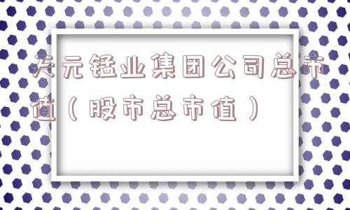 天元锰业集团公司总市值(股市总市值) 天元锰业集团公司总市值(股市总市值)