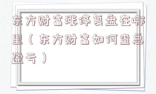 东方财富涨停复盘在哪里（东方财富如何查总盈亏）