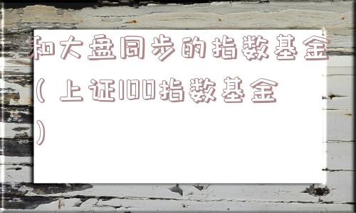 和大盘同步的指数基金（上证100指数基金）