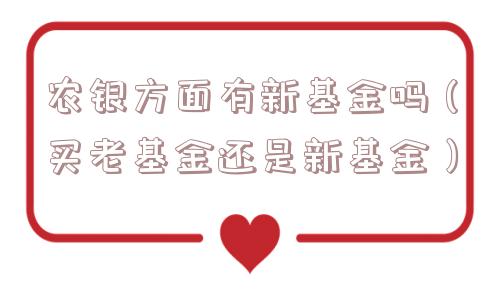 农银方面有新基金吗（买老基金还是新基金）
