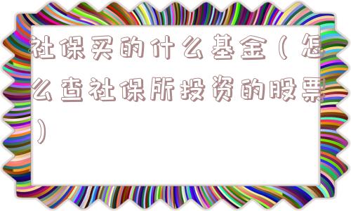社保买的什么基金（怎么查社保所投资的股票）