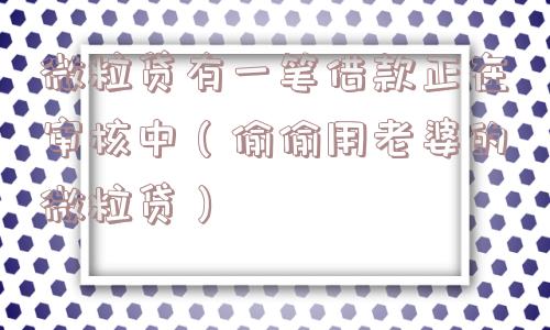 微粒贷有一笔借款正在审核中（偷偷用老婆的微粒贷）