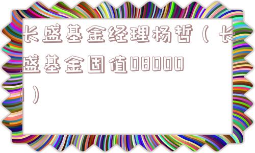 长盛基金经理杨哲(长盛基金固值080001) 长盛基金经理杨哲(长盛基金固值080001)