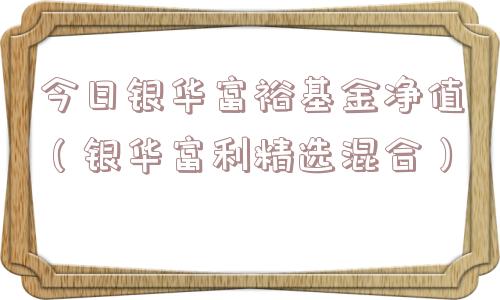 今日银华富裕基金净值（银华富利精选混合）