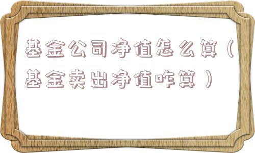 基金公司净值怎么算（基金卖出净值咋算）