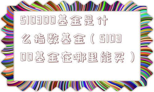 510300基金是什么指数基金（510300基金在哪里能买）