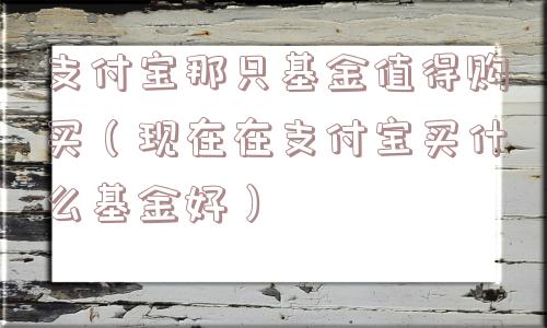 支付宝那只基金值得购买（现在在支付宝买什么基金好）