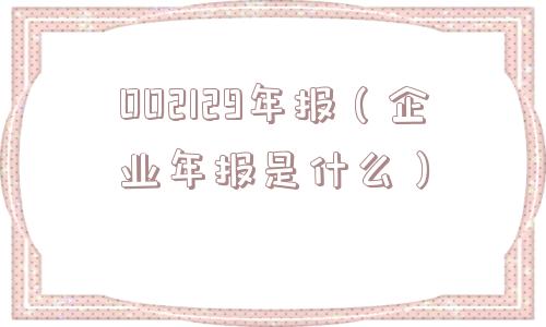 002129年报（企业年报是什么）
