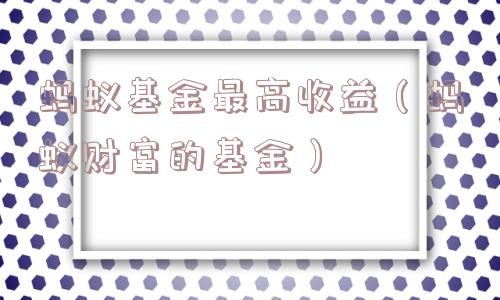 蚂蚁基金最高收益（蚂蚁财富的基金）