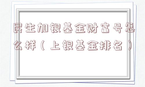 民生加银基金财富号怎么样（上银基金排名）