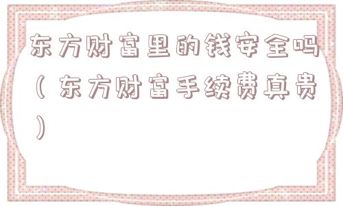 东方财富里的钱安全吗（东方财富手续费真贵）