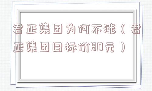 君正集团为何不涨（君正集团目标价80元）