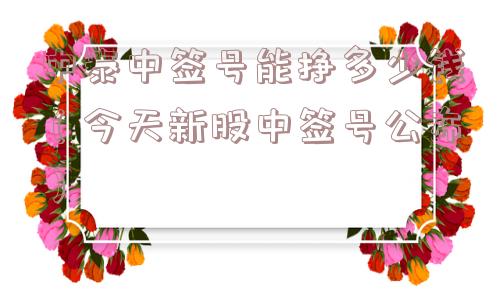 中泰中签号能挣多少钱（今天新股中签号公布）