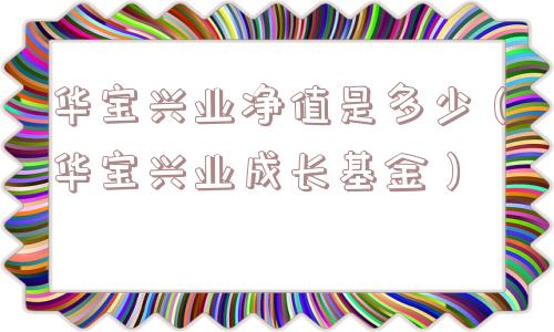 华宝兴业净值是多少(华宝兴业成长基金) 华宝兴业净值是多少(华宝兴业成长基金)