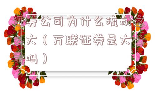 证券公司为什么流动这么大(万联证券是大公司吗) 证券公司为什么流动这么大(万联证券是大公司吗)