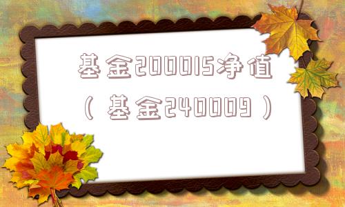 基金200015净值（基金240009）