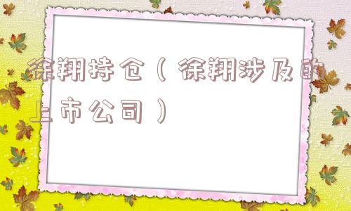 徐翔持仓（徐翔涉及的上市公司）