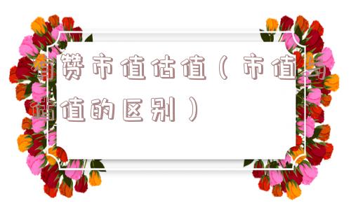 有赞市值估值（市值与估值的区别）