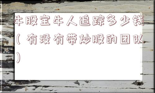 牛股宝牛人追踪多少钱（有没有带炒股的团队）