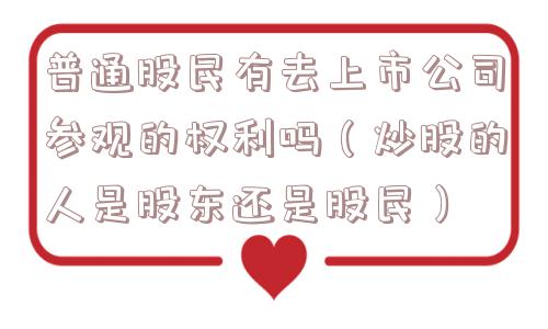 普通股民有去上市公司参观的权利吗（炒股的人是股东还是股民）