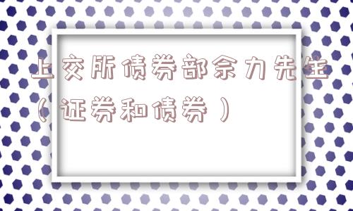 上交所债券部佘力先生（证券和债券）