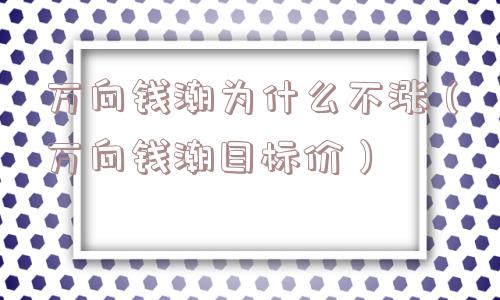 万向钱潮为什么不涨（万向钱潮目标价）