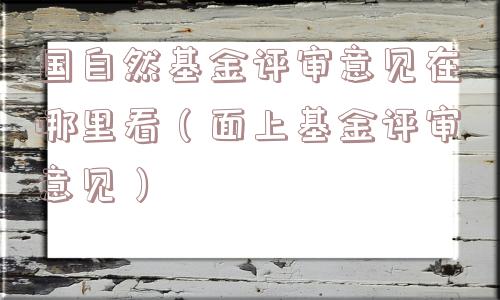 国自然基金评审意见在哪里看(面上基金评审意见) 国自然基金评审意见在哪里看(面上基金评审意见)
