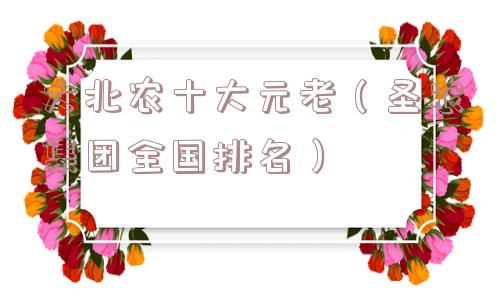 大北农十大元老（圣农集团全国排名）