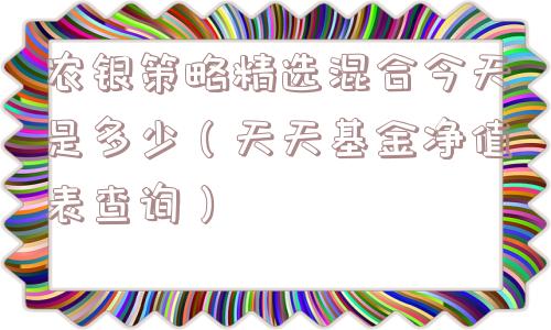 农银策略精选混合今天是多少（天天基金净值表查询）