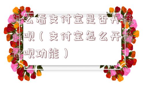 怎么看支付宝是否开通借呗（支付宝怎么开通借呗功能）