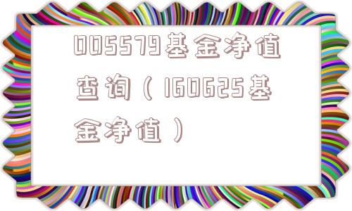 005579基金净值查询（160625基金净值）