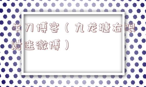 牛刀博客（九龙塘右眼财迷微博）