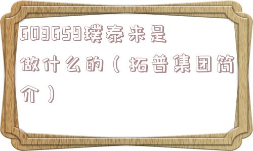 603659璞泰来是做什么的（拓普集团简介）