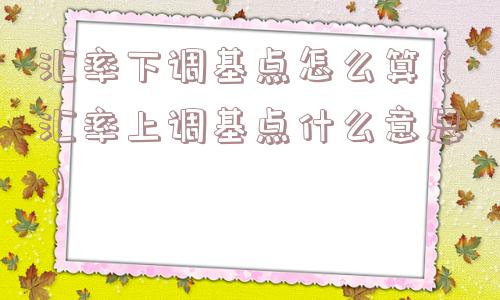 汇率下调基点怎么算（汇率上调基点什么意思）