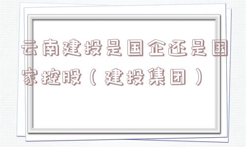 云南建投是国企还是国家控股（建投集团）