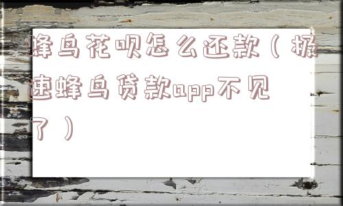 蜂鸟花呗怎么还款(极速蜂鸟贷款app不见了) 蜂鸟花呗怎么还款(极速蜂鸟贷款app不见了)