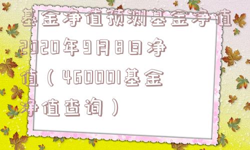 基金净值预测基金净值2020年9月8日净值(460001基金净值查询) 基金净值预测基金净值2020年9月8日净值(460001基金净值查询)