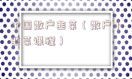 中国散户韭菜（散户小韭菜课程）